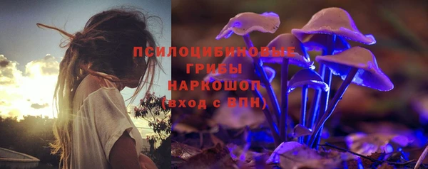стаф Коряжма