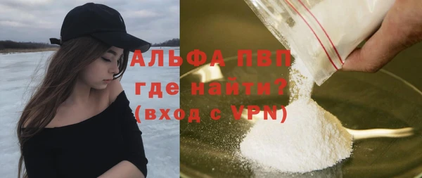 стаф Коряжма