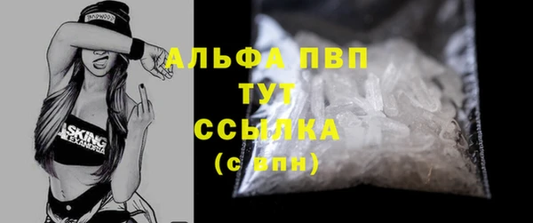 стаф Коряжма