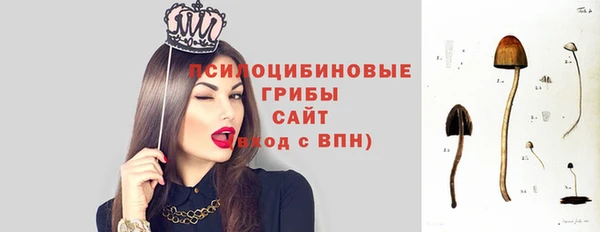 стаф Коряжма