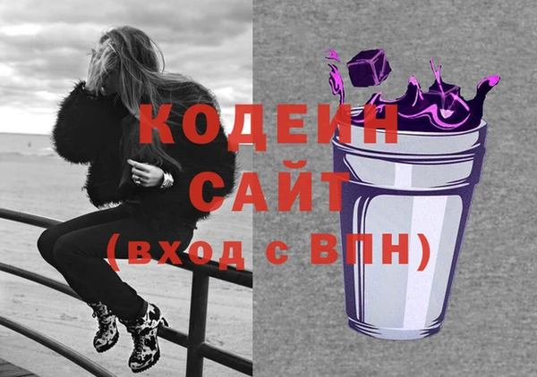 стаф Коряжма