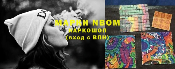 стаф Коряжма