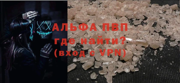 стаф Коряжма