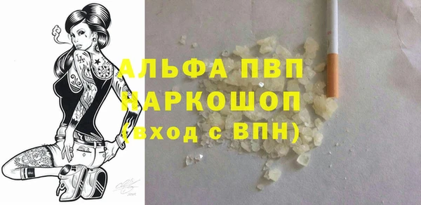 стаф Коряжма