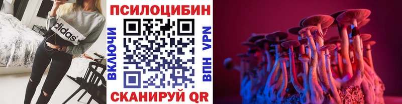 Галлюциногенные грибы прущие грибы  Купить где  Ковылкино 